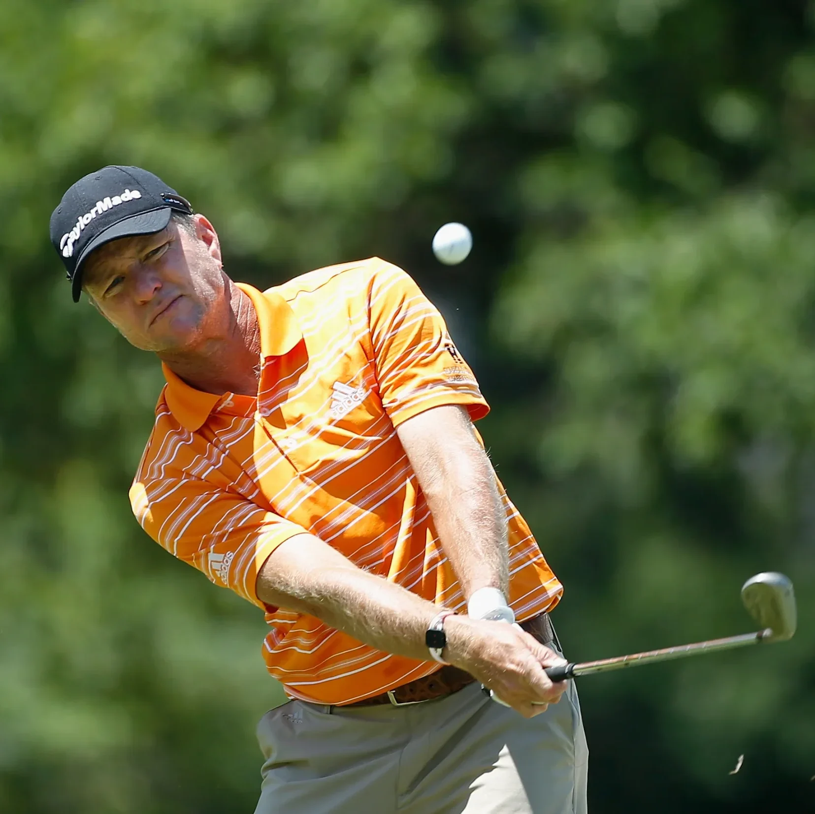 Image of golfer Scott Verplank